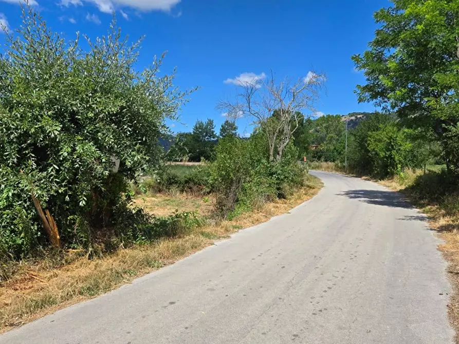 Immagine 8 di Terreno agricolo in vendita  in Via Sava a Volturara Irpina