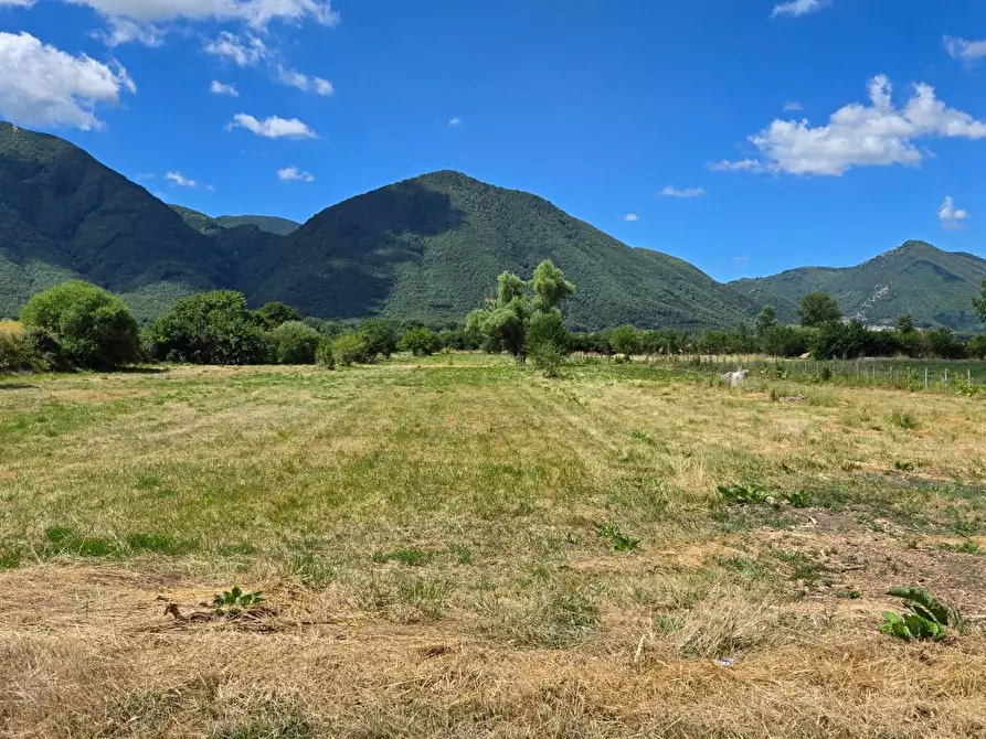 Immagine 9 di Terreno agricolo in vendita  in Via Sava a Volturara Irpina
