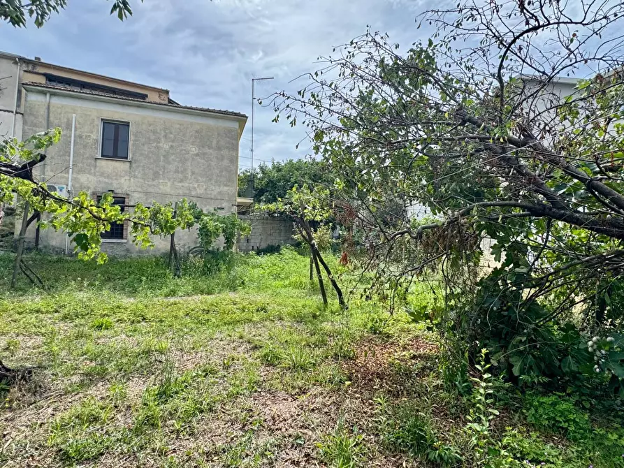 Immagine 11 di Casa indipendente in vendita  in via armando diaz 92 a Andretta