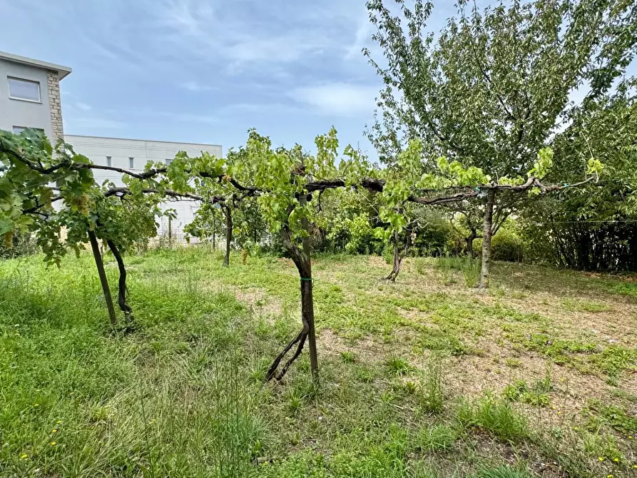 Immagine 15 di Casa indipendente in vendita  in via armando diaz 92 a Andretta