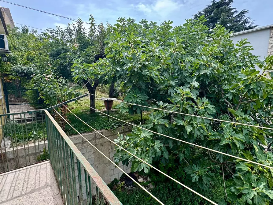 Immagine 17 di Casa indipendente in vendita  in via armando diaz 92 a Andretta