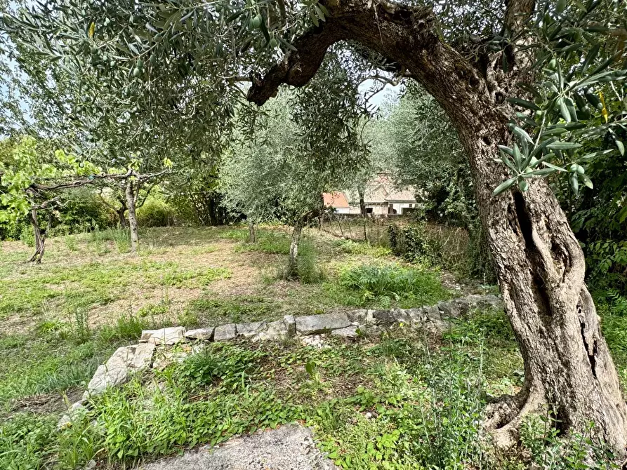 Immagine 14 di Casa indipendente in vendita  in via armando diaz 92 a Andretta