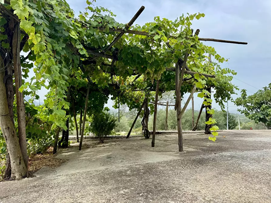 Immagine 8 di Casa indipendente in vendita  in contrada savia a Andretta