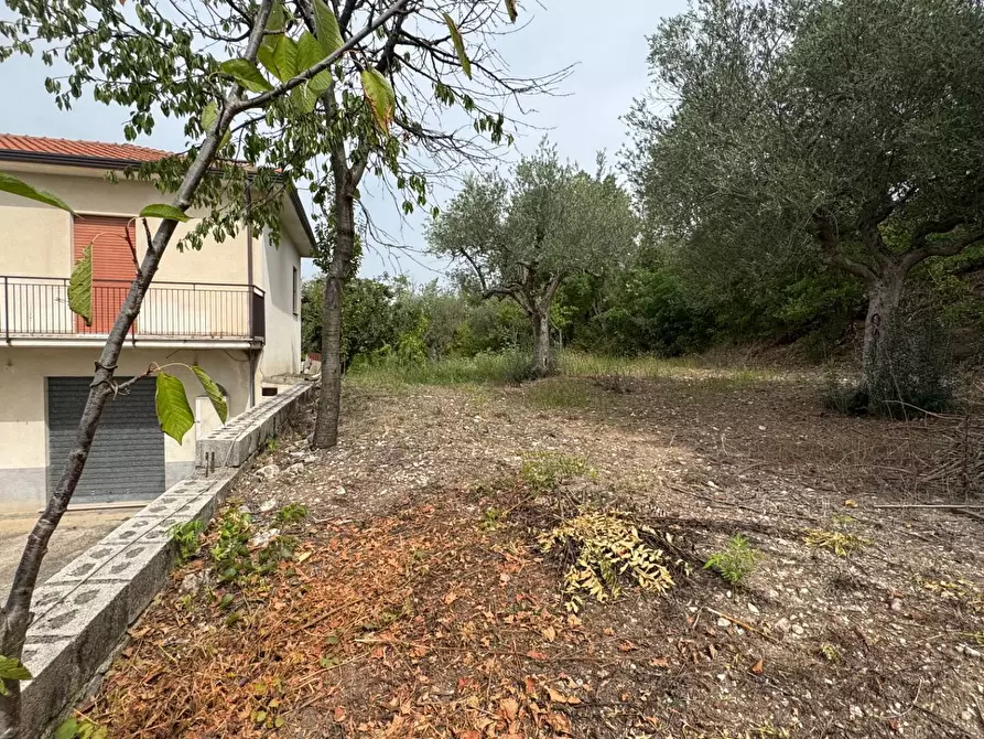 Immagine 5 di Casa indipendente in vendita  in contrada savia a Andretta