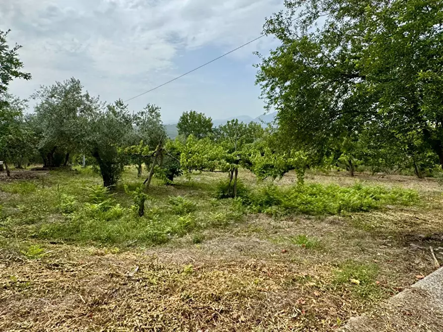 Immagine 10 di Casa indipendente in vendita  in contrada savia a Andretta