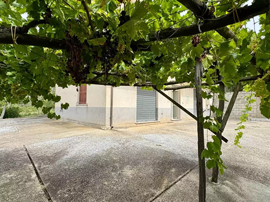 Immagine 9 di Casa indipendente in vendita  in contrada savia a Andretta