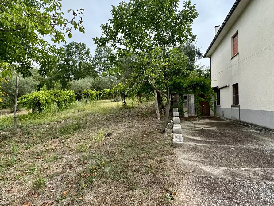 Immagine 6 di Casa indipendente in vendita  in contrada savia a Andretta