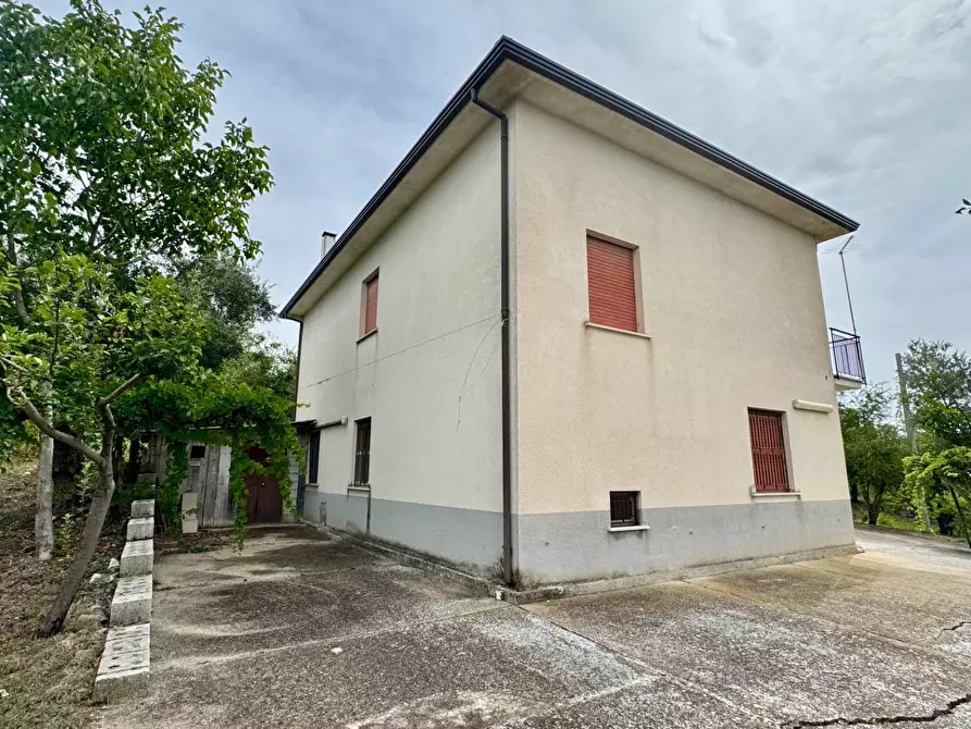 Immagine 2 di Casa indipendente in vendita  in contrada savia a Andretta