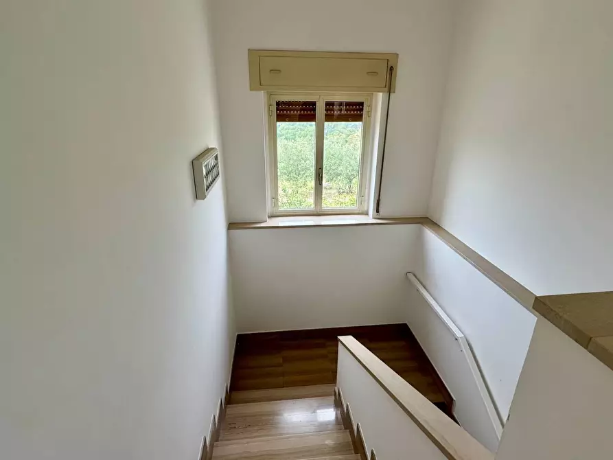 Immagine 19 di Casa indipendente in vendita  in contrada savia a Andretta