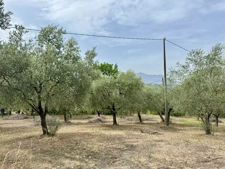 Immagine 1 di Terreno agricolo in vendita  in contrada savia a Andretta