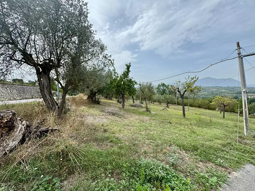 Immagine 6 di Terreno agricolo in vendita  in contrada savia a Andretta