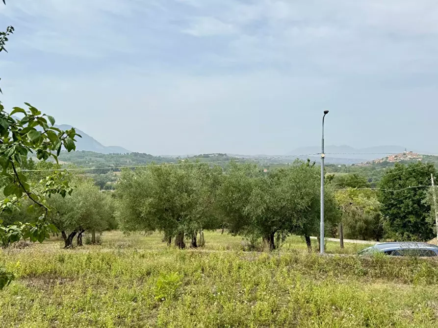 Immagine 9 di Terreno agricolo in vendita  in contrada savia a Andretta