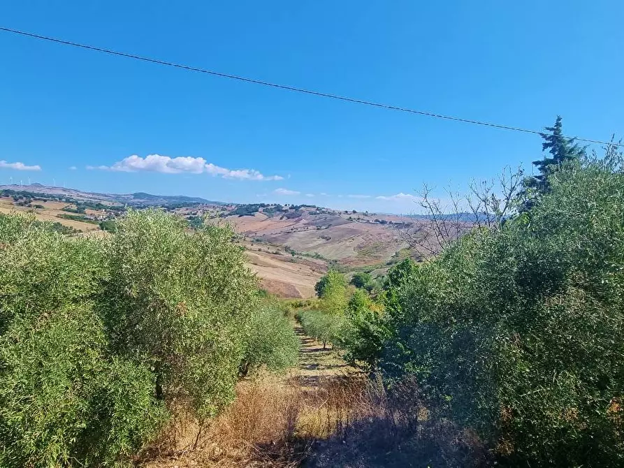 Immagine 5 di Casa indipendente in vendita  in SP 157 a Apice