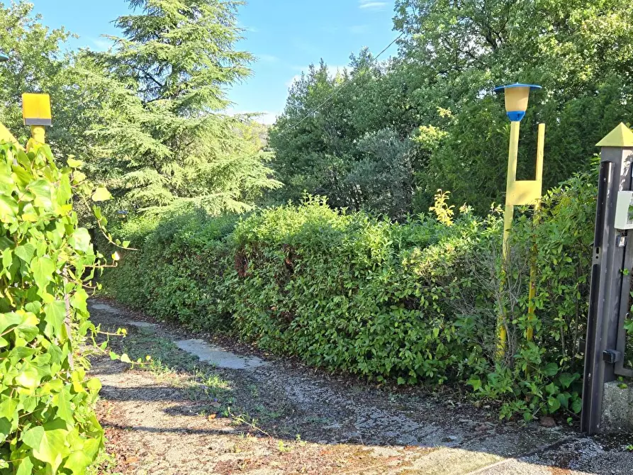 Immagine 3 di Casa indipendente in vendita  in Contrada Pietrarola a Chiusano Di San Domenico