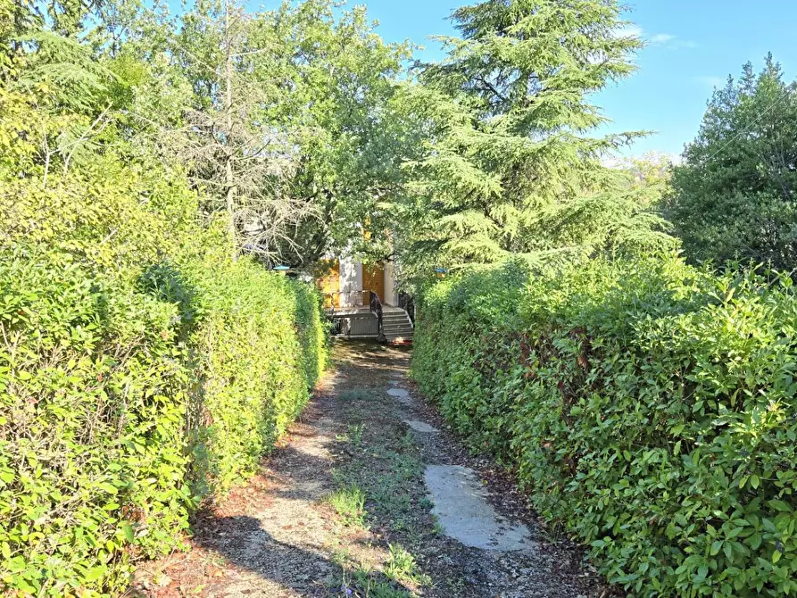 Immagine 4 di Casa indipendente in vendita  in Contrada Pietrarola a Chiusano Di San Domenico