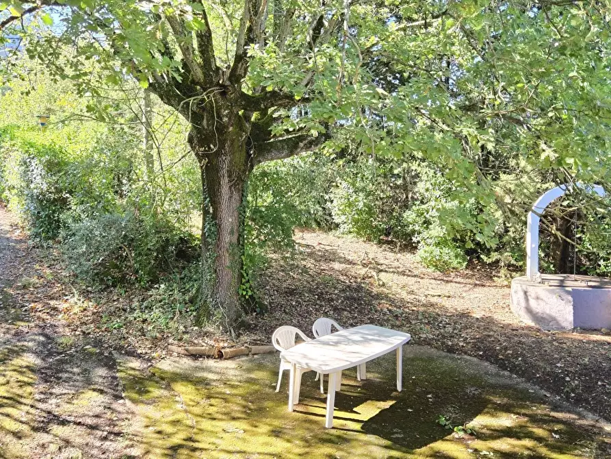 Immagine 5 di Casa indipendente in vendita  in Contrada Pietrarola a Chiusano Di San Domenico