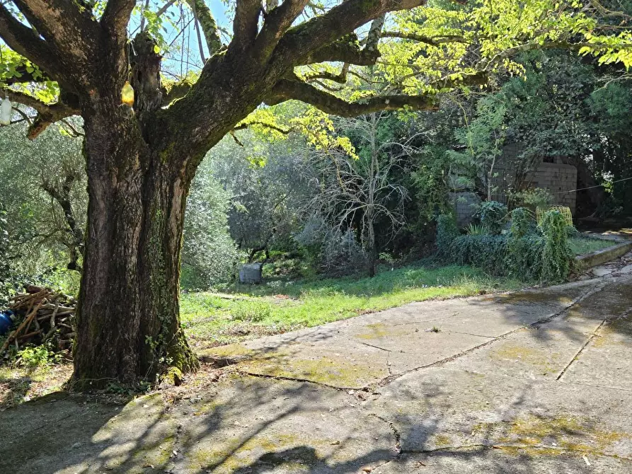 Immagine 6 di Casa indipendente in vendita  in Contrada Pietrarola a Chiusano Di San Domenico