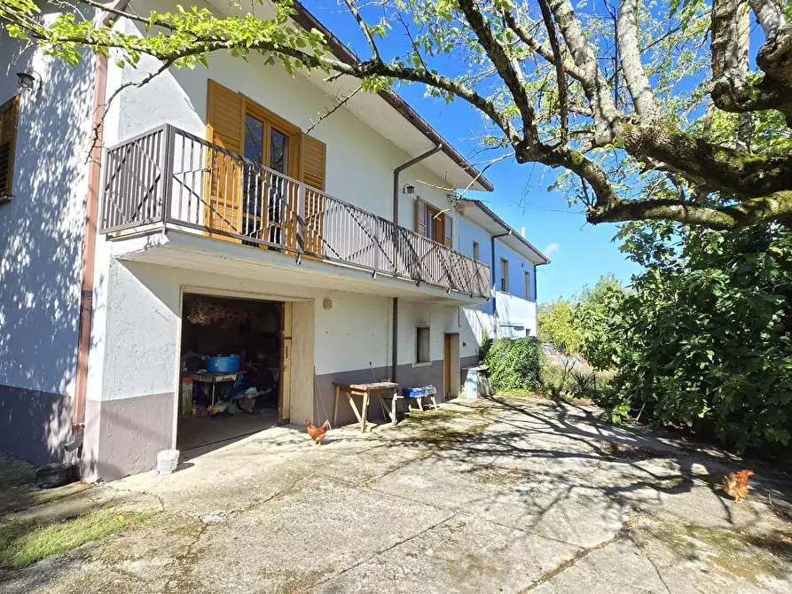 Immagine 7 di Casa indipendente in vendita  in Contrada Pietrarola a Chiusano Di San Domenico