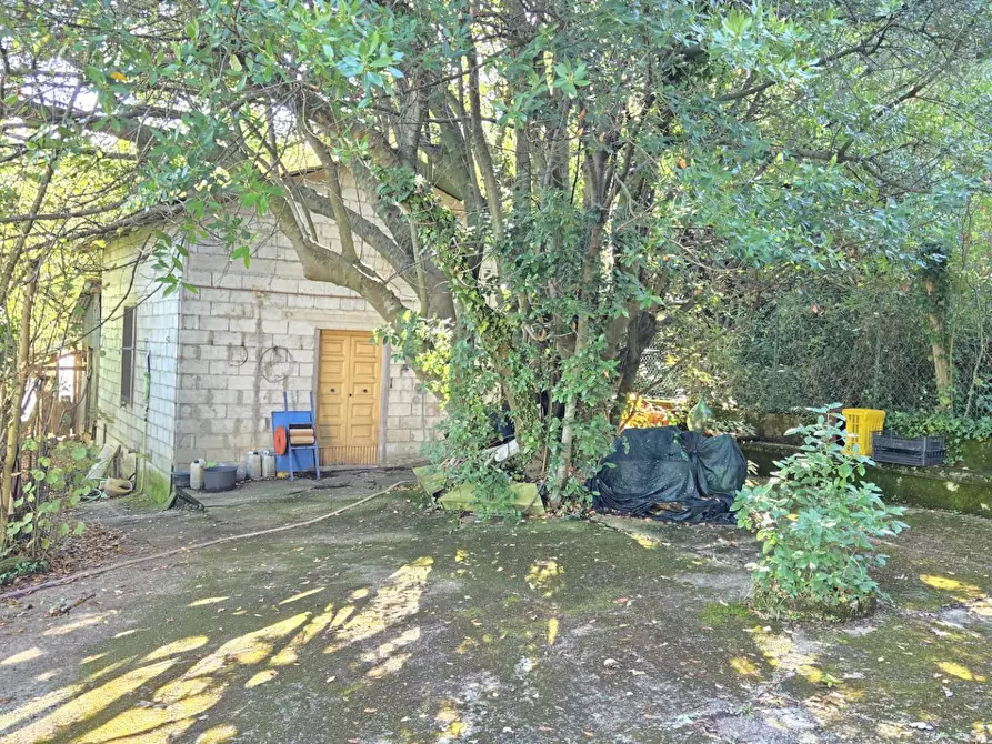Immagine 9 di Casa indipendente in vendita  in Contrada Pietrarola a Chiusano Di San Domenico