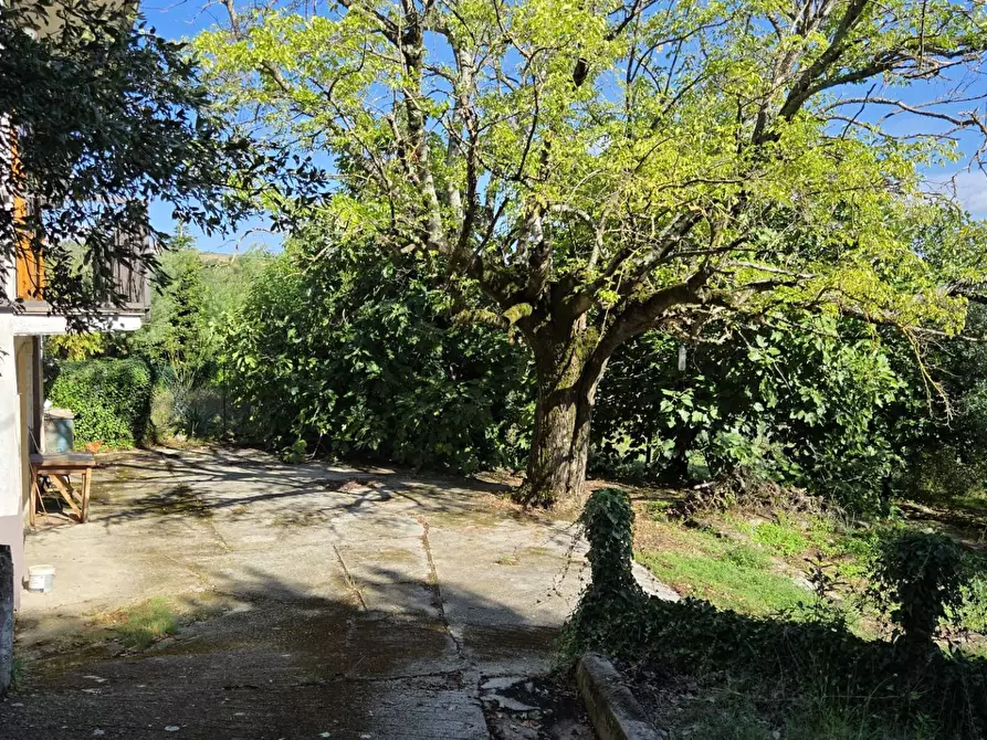 Immagine 11 di Casa indipendente in vendita  in Contrada Pietrarola a Chiusano Di San Domenico
