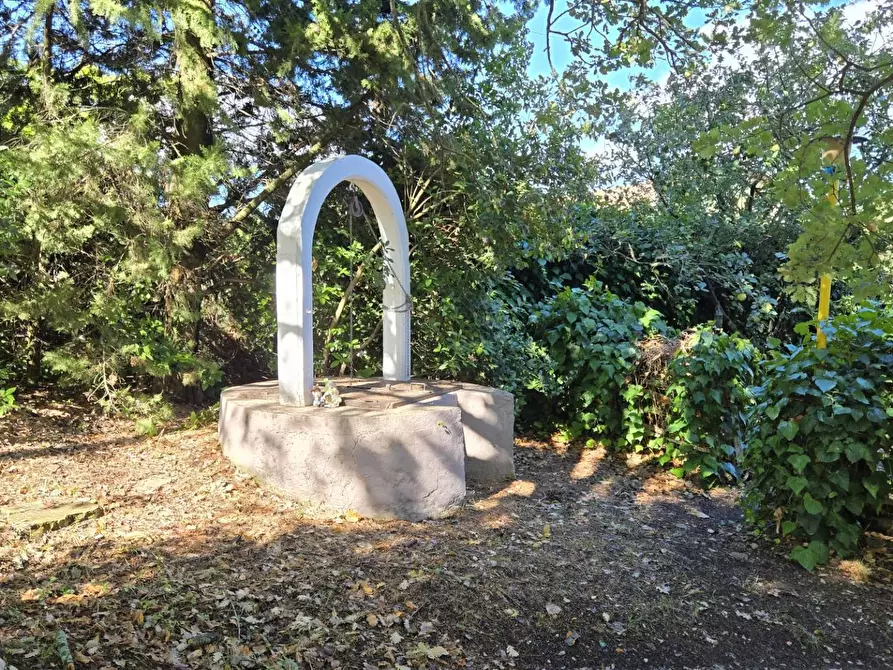 Immagine 23 di Casa indipendente in vendita  in Contrada Pietrarola a Chiusano Di San Domenico