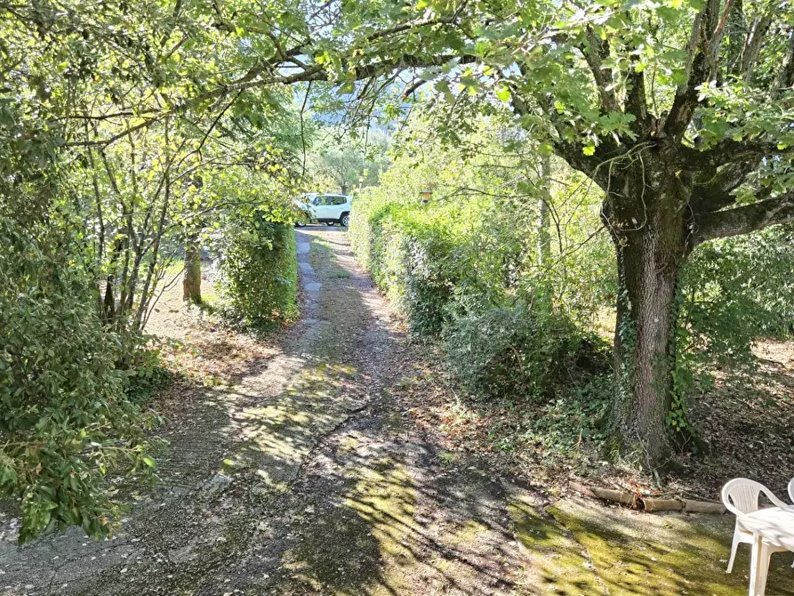 Immagine 25 di Casa indipendente in vendita  in Contrada Pietrarola a Chiusano Di San Domenico