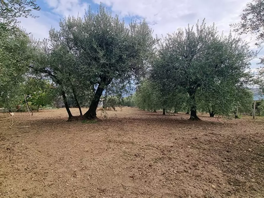 Immagine 29 di Appartamento in vendita  a Frigento