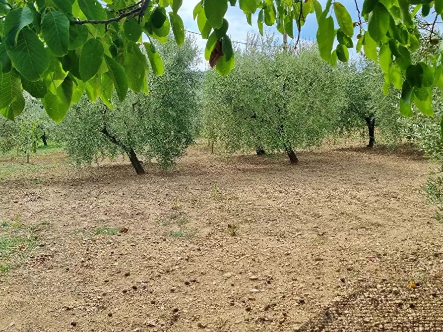 Immagine 30 di Appartamento in vendita  a Frigento