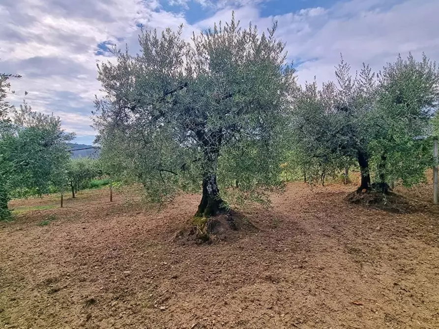 Immagine 32 di Appartamento in vendita  a Frigento