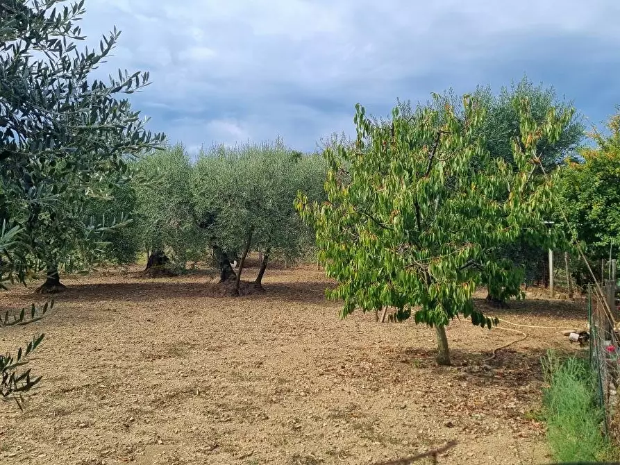 Immagine 33 di Appartamento in vendita  a Frigento