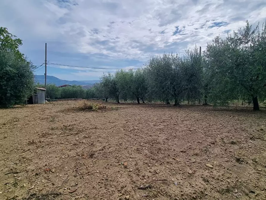 Immagine 34 di Appartamento in vendita  a Frigento