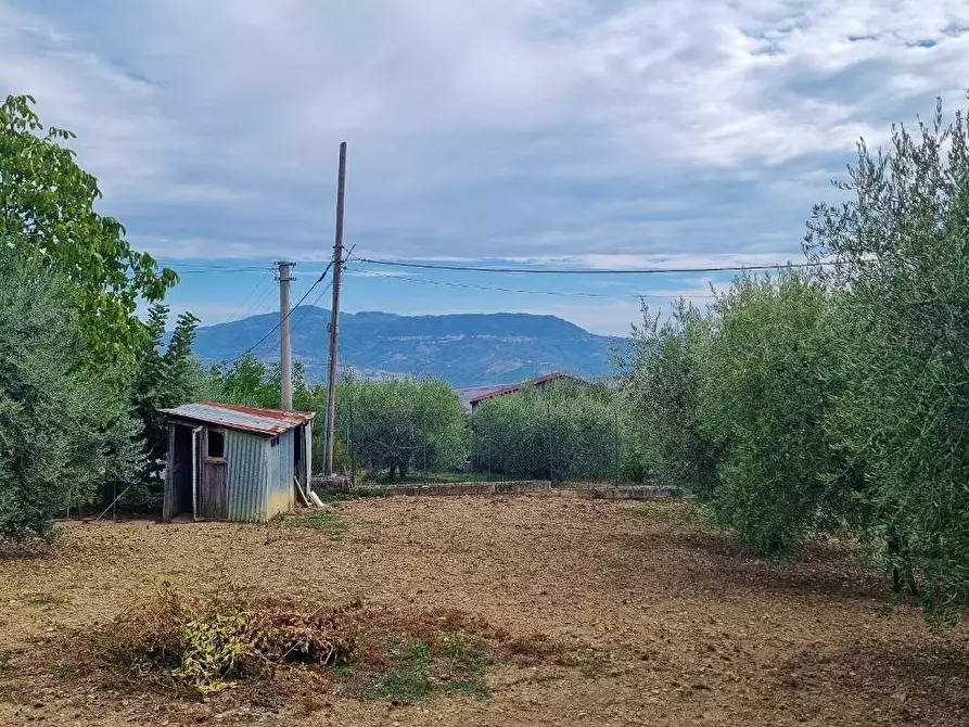 Immagine 35 di Appartamento in vendita  a Frigento