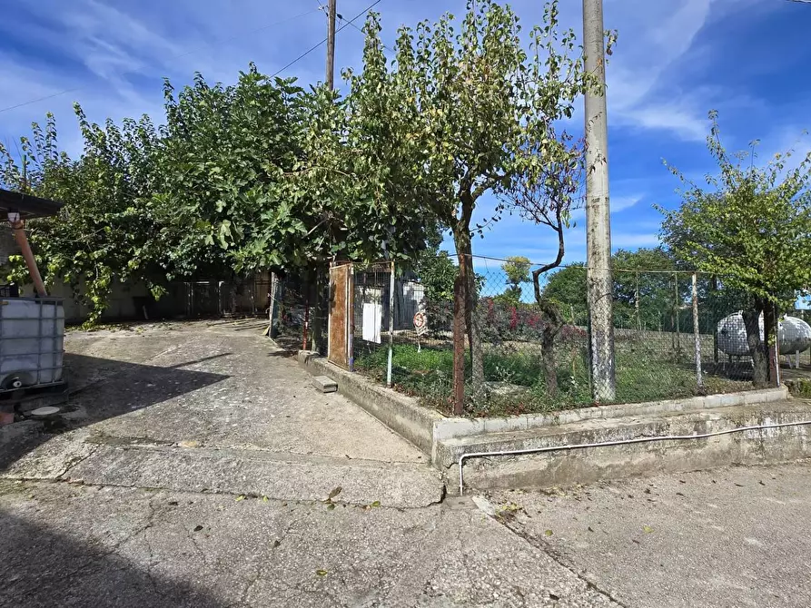 Immagine 3 di Casa indipendente in vendita  in C/da Petrara a San Mango Sul Calore