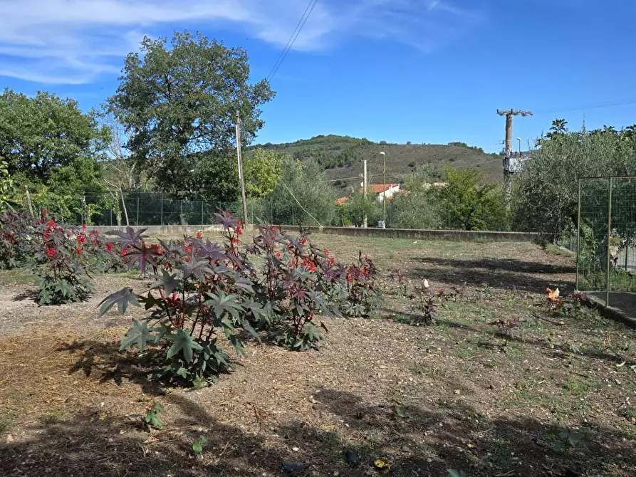 Immagine 9 di Casa indipendente in vendita  in C/da Petrara a San Mango Sul Calore