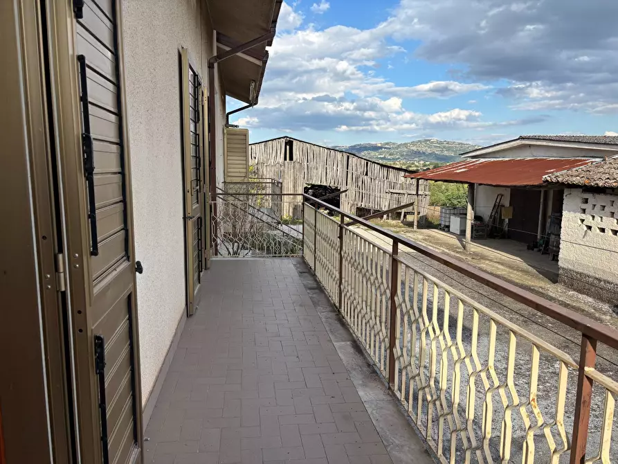 Immagine 30 di Casa semindipendente in vendita  in via tinelle 32 a Calvi