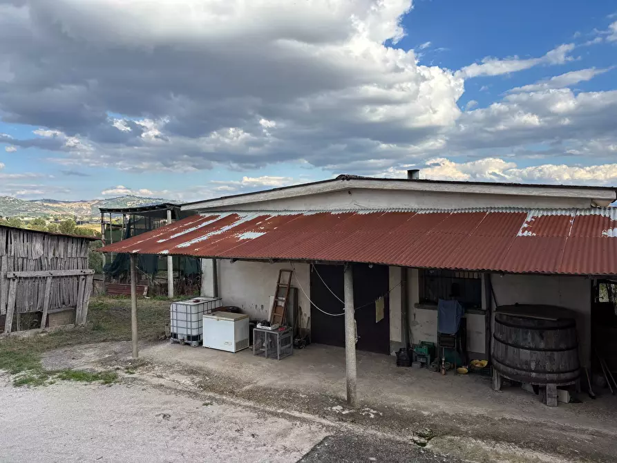 Immagine 20 di Casa semindipendente in vendita  in via tinelle 32 a Calvi