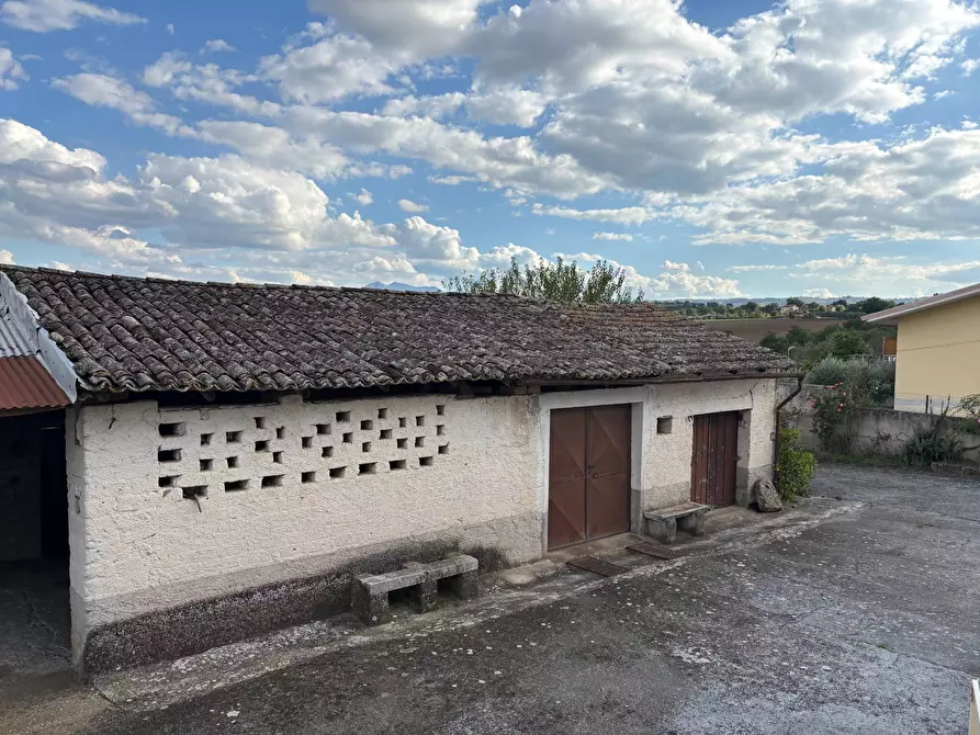 Immagine 31 di Casa semindipendente in vendita  in via tinelle 32 a Calvi