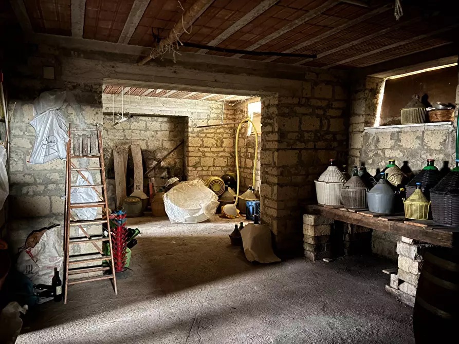 Immagine 24 di Casa semindipendente in vendita  in via tinelle 32 a Calvi