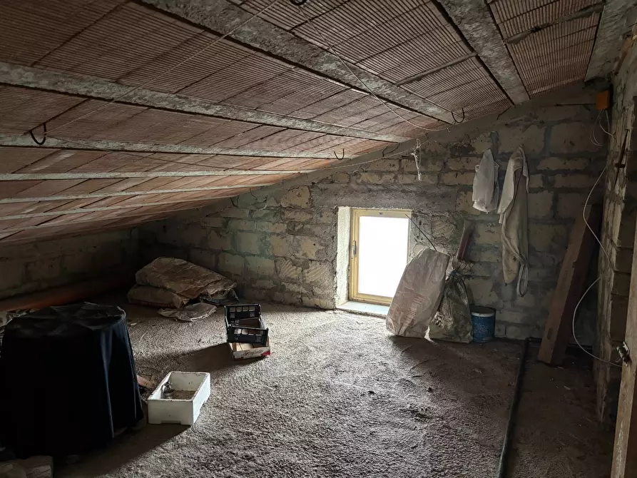 Immagine 27 di Casa semindipendente in vendita  in via tinelle 32 a Calvi