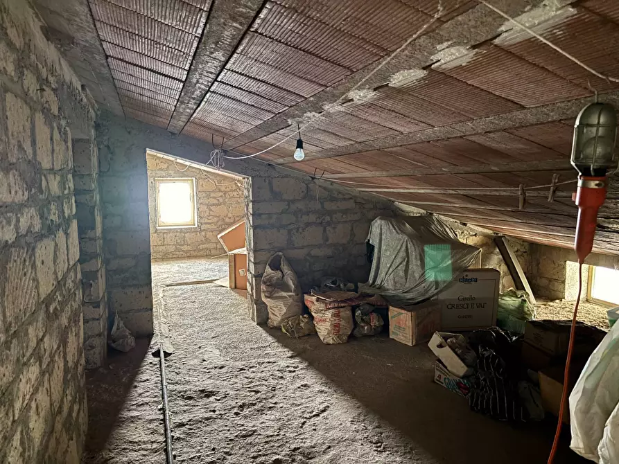 Immagine 28 di Casa semindipendente in vendita  in via tinelle 32 a Calvi