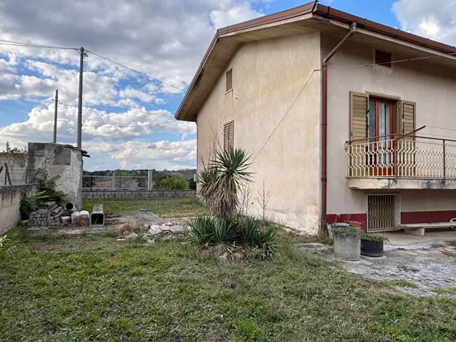 Immagine 3 di Casa semindipendente in vendita  in via tinelle 32 a Calvi