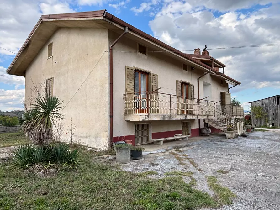 Immagine 2 di Casa semindipendente in vendita  in via tinelle 32 a Calvi