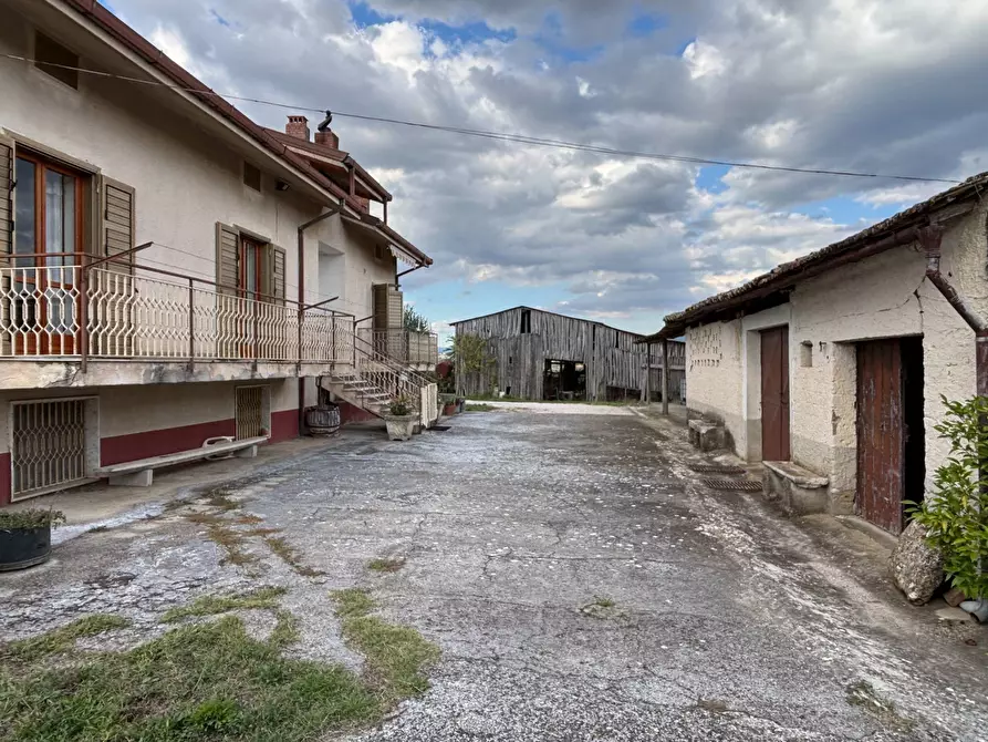 Immagine 4 di Casa semindipendente in vendita  in via tinelle 32 a Calvi
