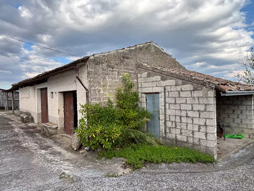 Immagine 32 di Casa semindipendente in vendita  in via tinelle 32 a Calvi