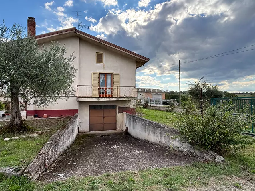 Immagine 33 di Casa semindipendente in vendita  in via tinelle 32 a Calvi