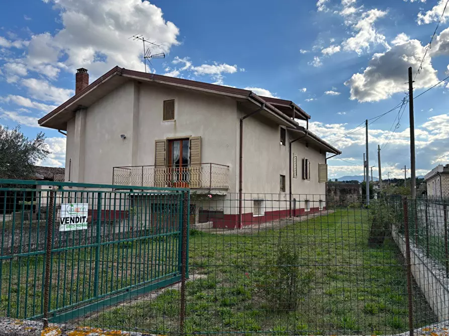 Immagine 34 di Casa semindipendente in vendita  in via tinelle 32 a Calvi