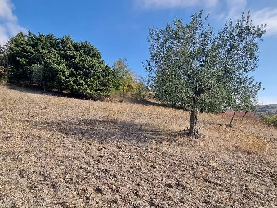 Immagine 23 di Casa indipendente in vendita  in Via Comunale Civita a San Sossio Baronia