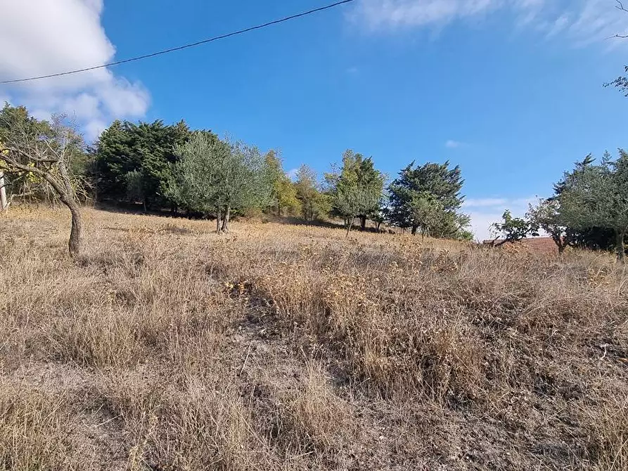 Immagine 24 di Casa indipendente in vendita  in Via Comunale Civita a San Sossio Baronia