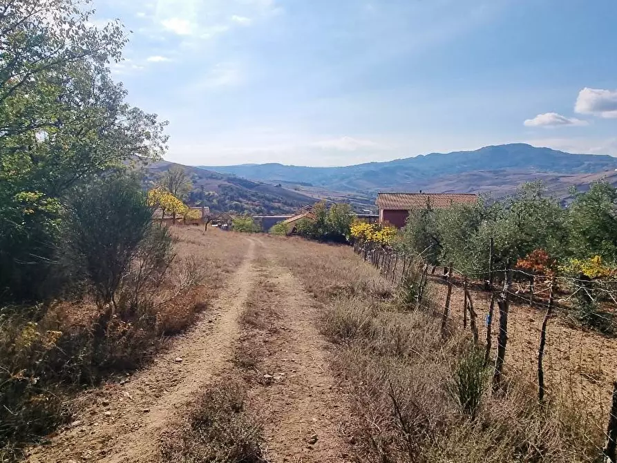 Immagine 25 di Casa indipendente in vendita  in Via Comunale Civita a San Sossio Baronia