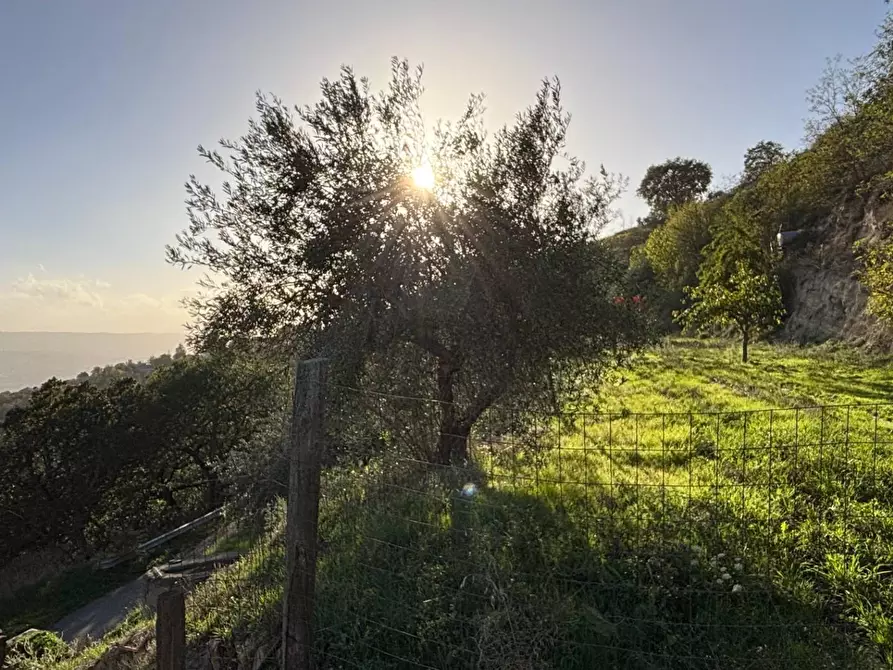 Immagine 31 di Casa indipendente in vendita  in Contrada Monte Ponente a Apice